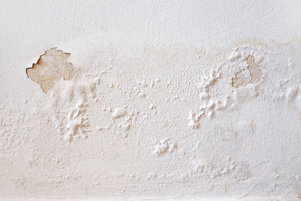 Especialistas en Filtraciones de Techos