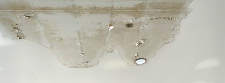 Image hover effect image