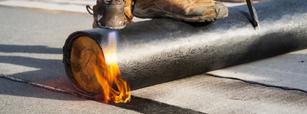 Image hover effect image