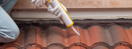 Image hover effect image